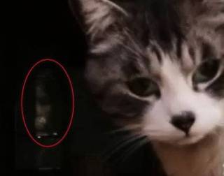 【閲覧注意】貼られた心霊写真を見て語るトピpart5