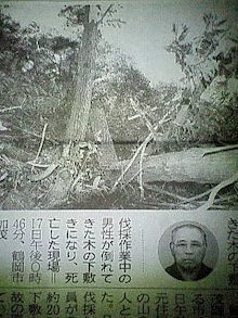【閲覧注意】貼られた心霊写真を見て語るトピpart5