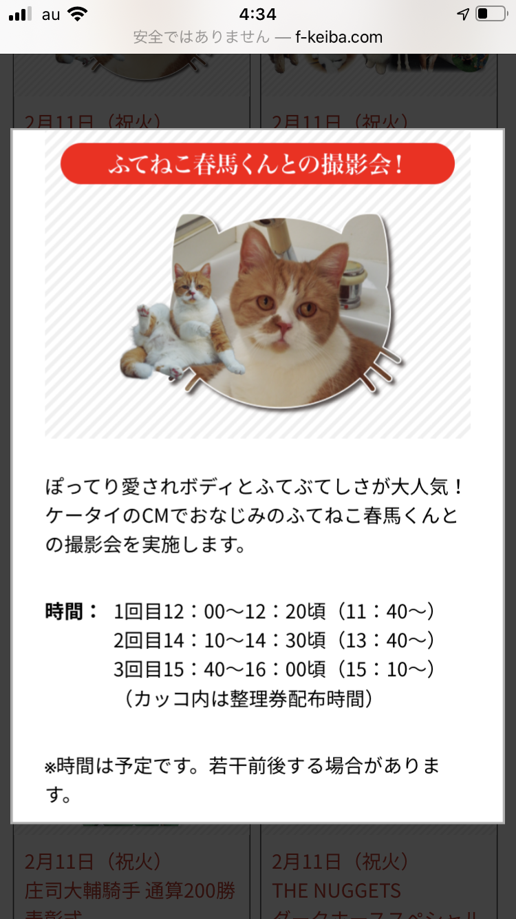 結局一番かわいい猫種ランキング 3位 マンチカン 2位 アメショ 1位は ガールズちゃんねる Girls Channel