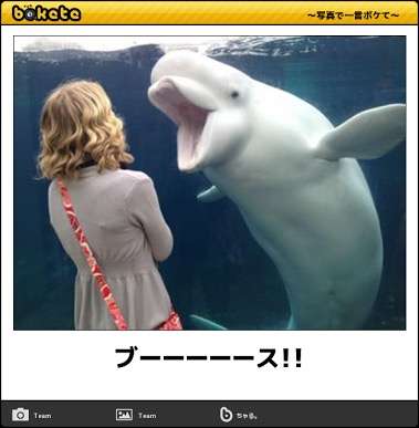 自分が芸能人になってテレビ出たらガルちゃんで言われそうなこと