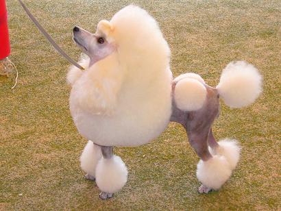 昔のお金持ちのイメージ