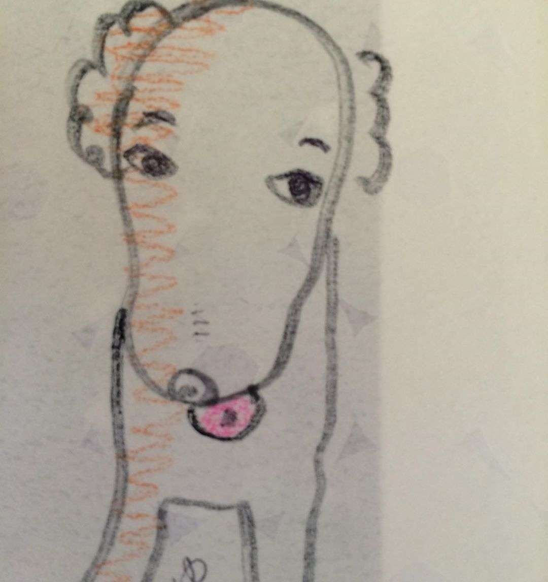 石田ゆり子、仔犬のイラスト披露で大反響「なんだこのクセになる絵は」