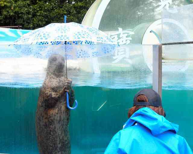 《身バレしない程度に》お宅の愛魚さん見せて下さい。