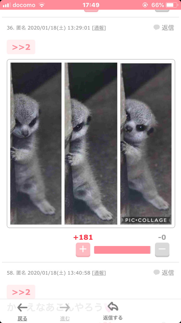 動物園にいる  主役にはなれないけど私はこの子が好きなの！と紹介したい動物