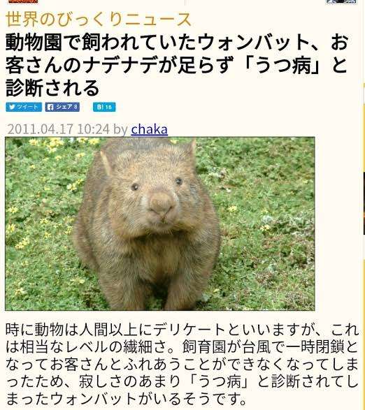 動物園にいる  主役にはなれないけど私はこの子が好きなの！と紹介したい動物