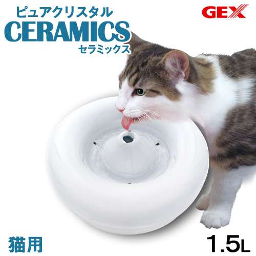 【飼い猫】お悩み相談室