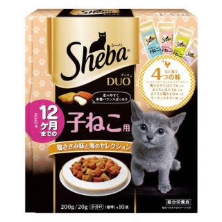 【飼い猫】お悩み相談室