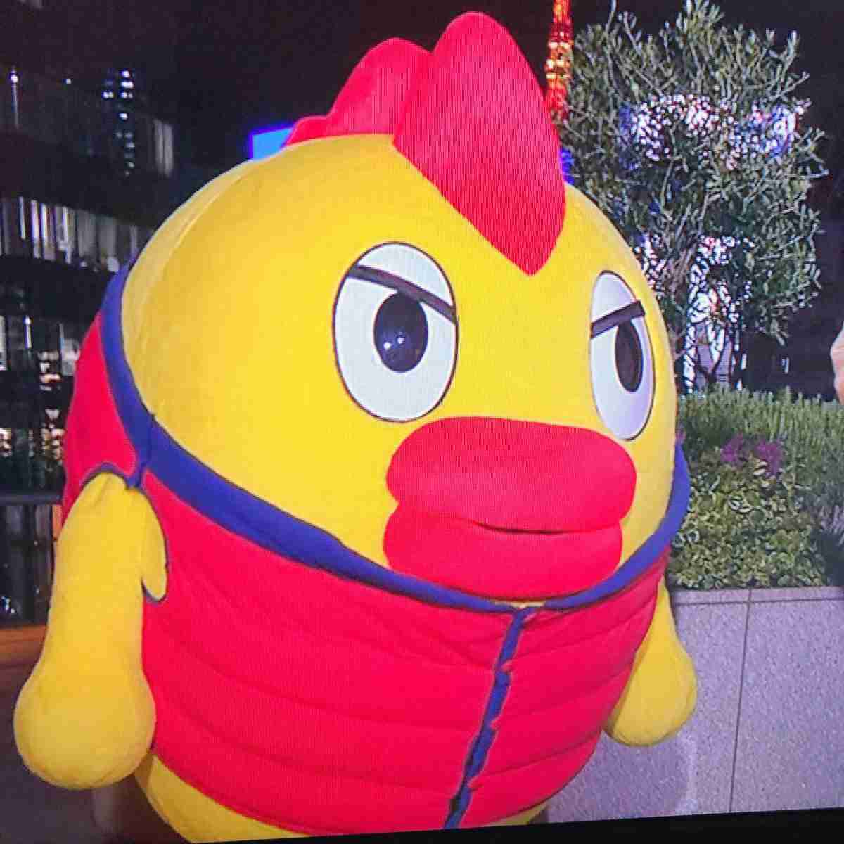 初めて見たとき衝撃を受けた物