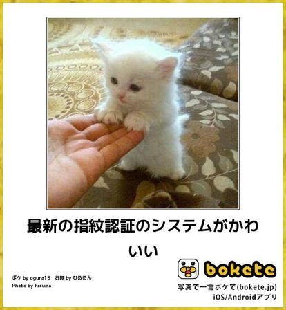 指紋認証、顔認証してますか?