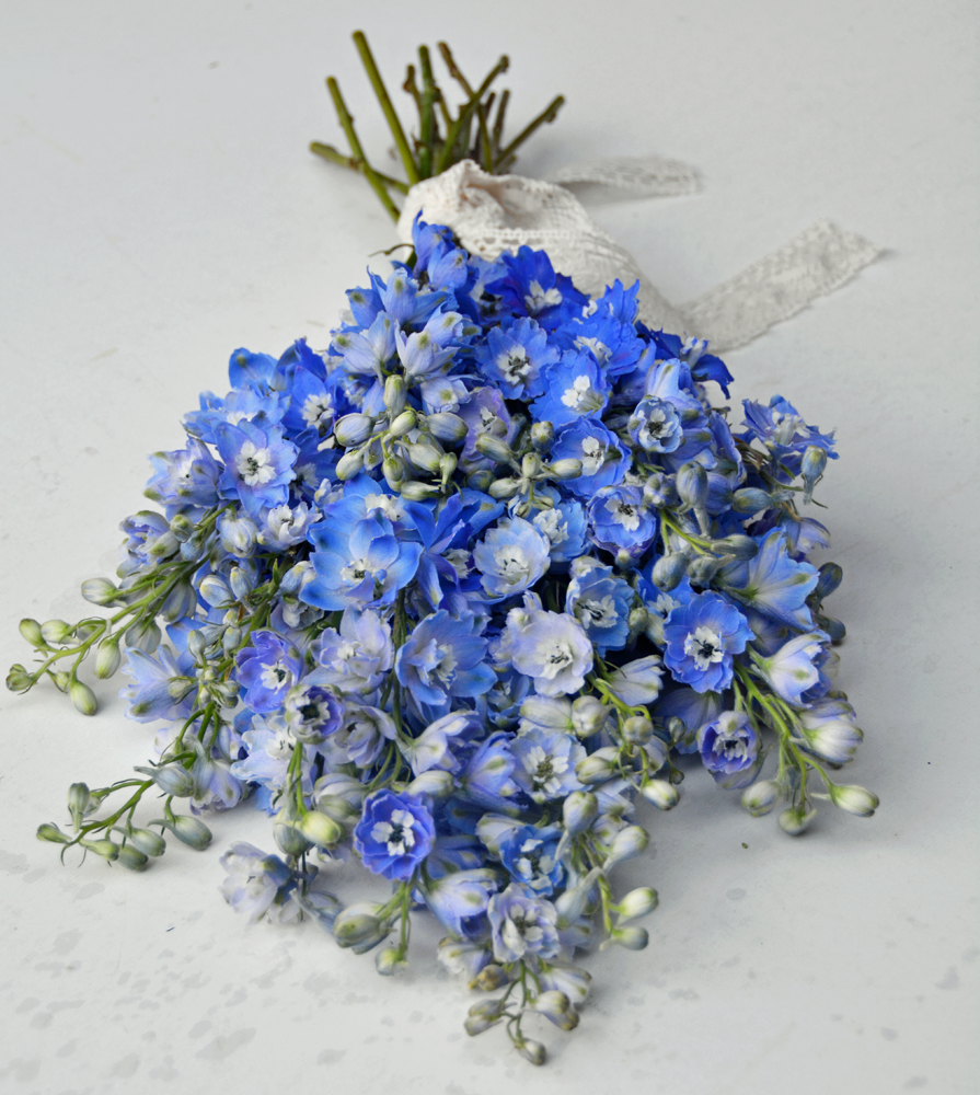 【💐】花束でいっぱいのトピ【画像】