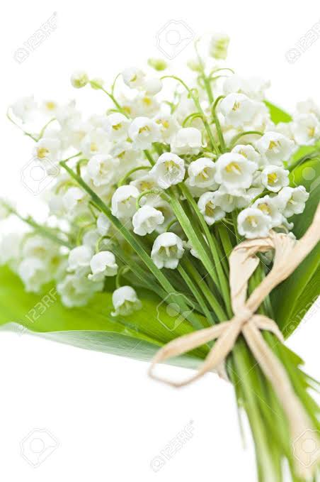【💐】花束でいっぱいのトピ【画像】