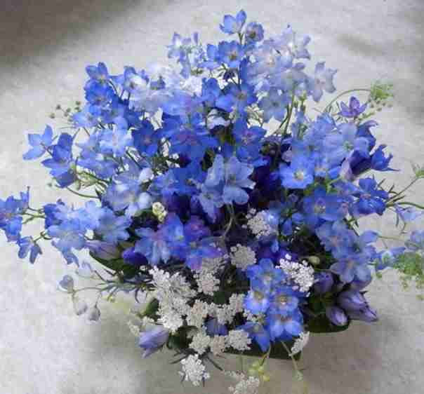 【💐】花束でいっぱいのトピ【画像】