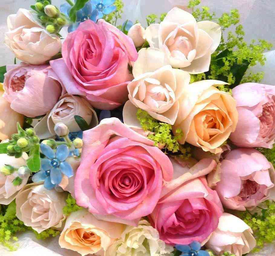 【💐】花束でいっぱいのトピ【画像】