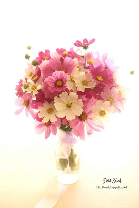 【💐】花束でいっぱいのトピ【画像】