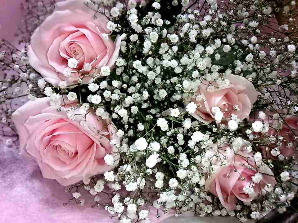 【💐】花束でいっぱいのトピ【画像】