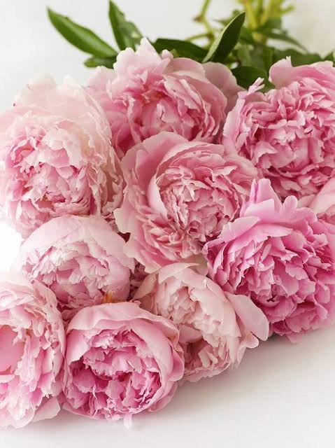 【💐】花束でいっぱいのトピ【画像】