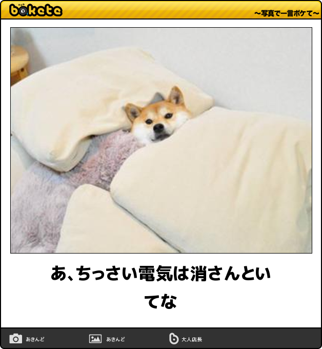 個犬情報を晒すトピ