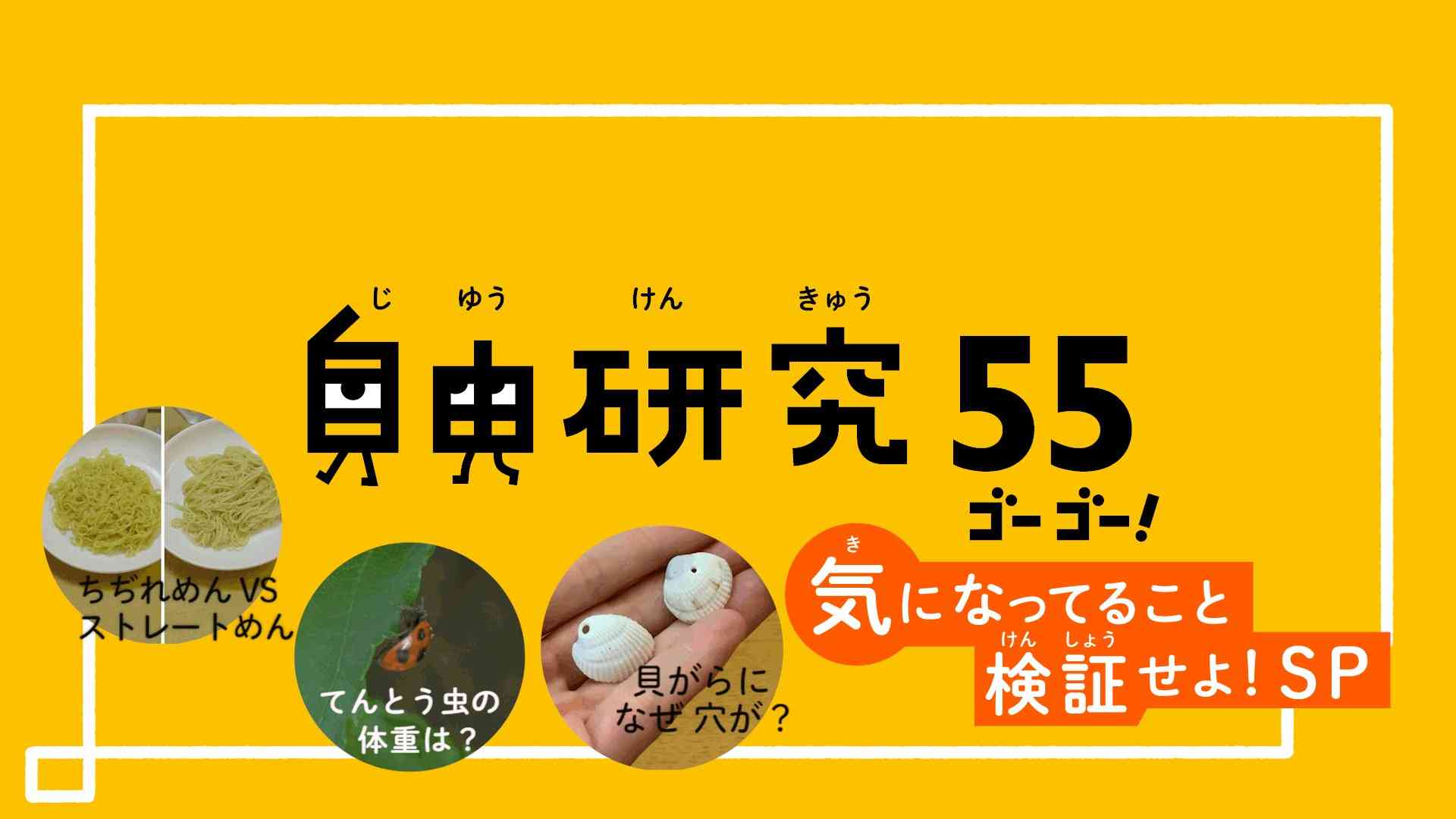 自由研究のエピソード