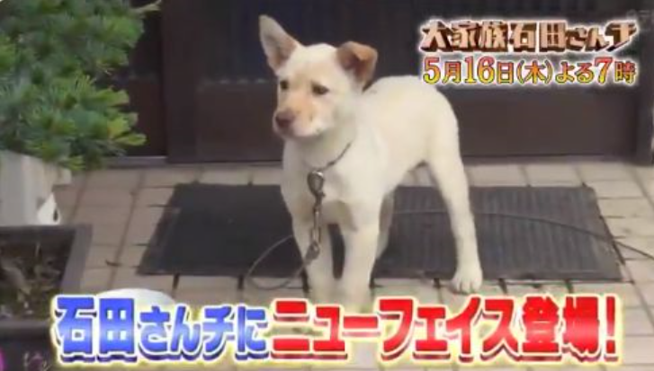 【実況・感想】緊急特別版！がんばれニッポン!!大家族石田さんチ密着23年 負けてたまるか！SP