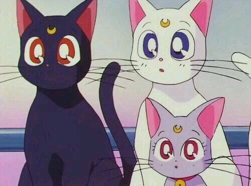 【人間以外】アニメ・漫画の好きなキャラクター