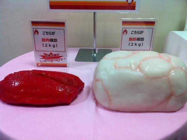 体重重視から体型重視に変わった人