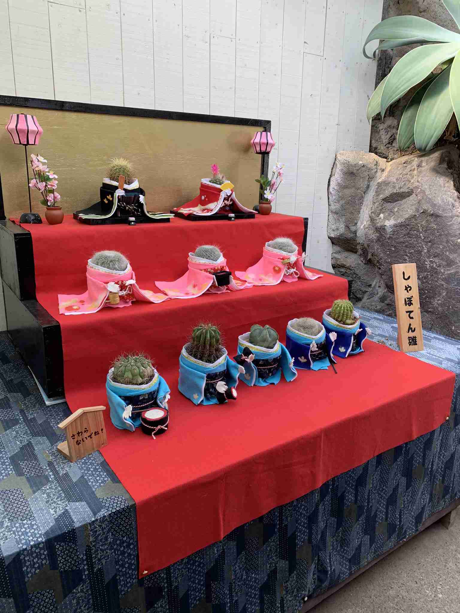【開催】ガル民のひな祭りパーティー