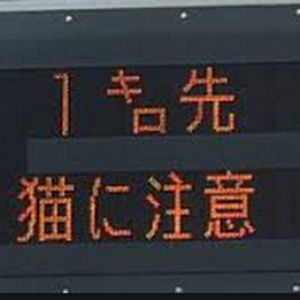 電話で診療、処方箋発行可能に 持病ある人ら対象―新型肺炎