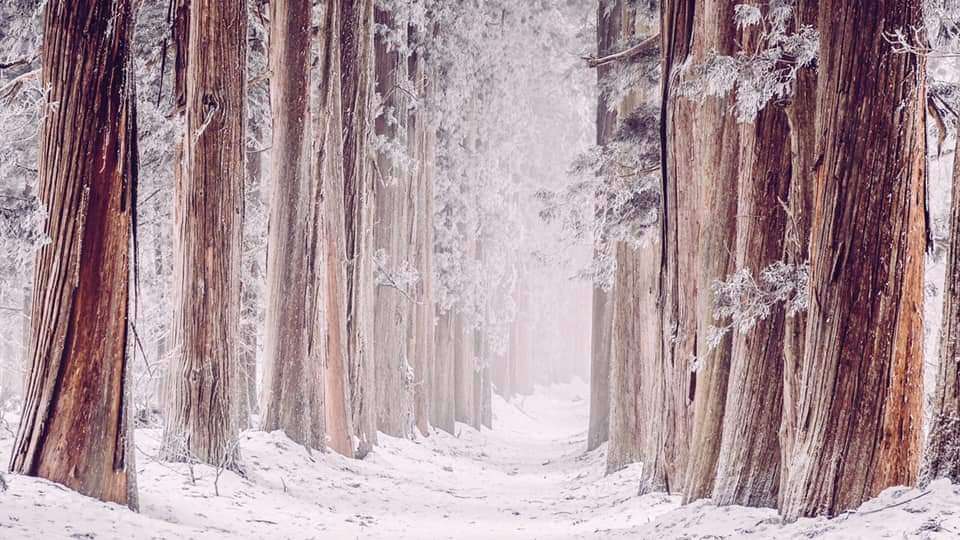 【在宅旅】日本の絶景を楽しむトピ