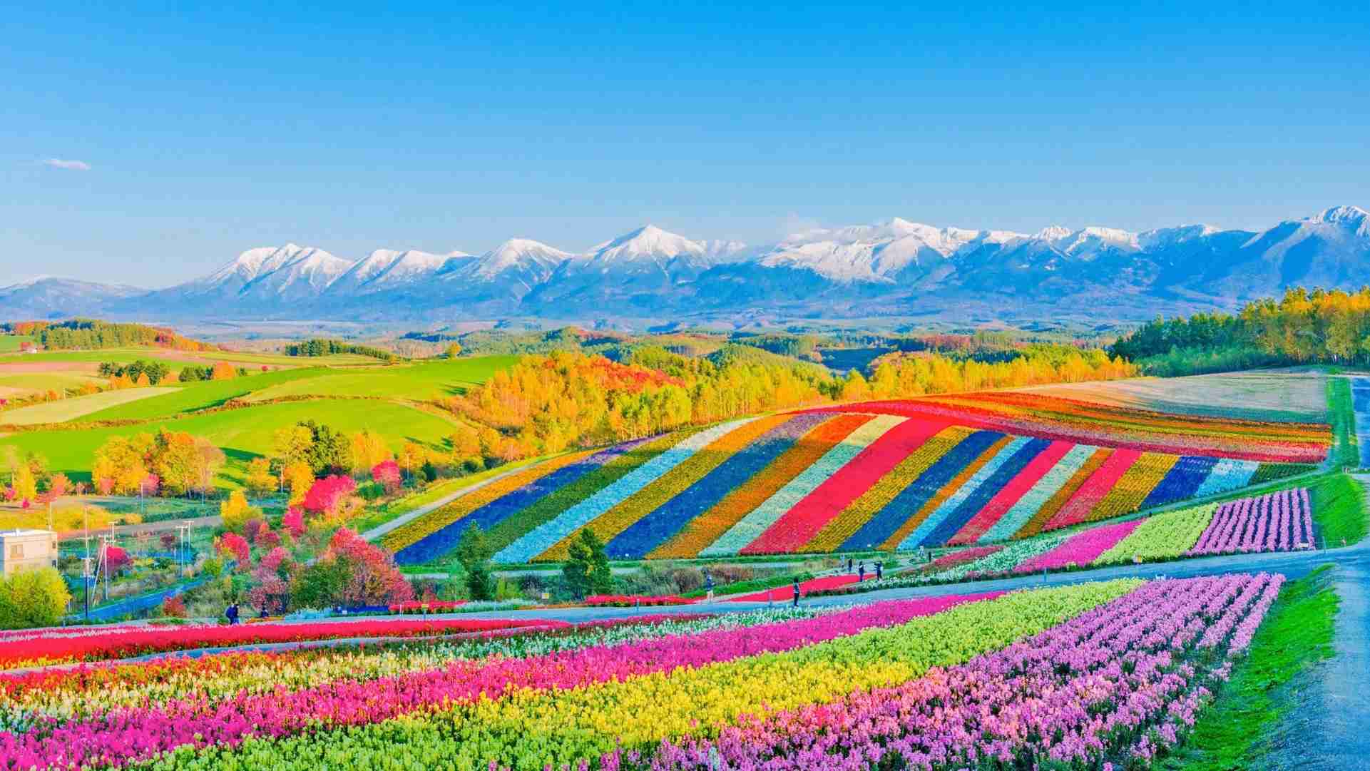 【在宅旅】日本の絶景を楽しむトピ