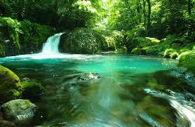 【在宅旅】日本の絶景を楽しむトピ