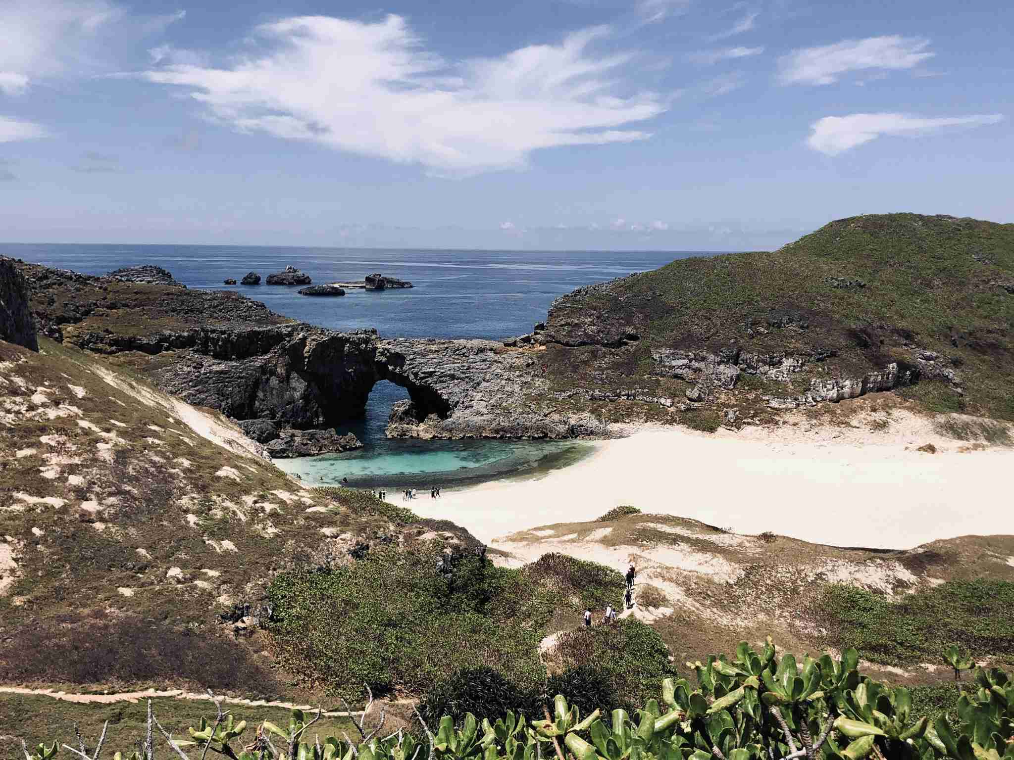 【在宅旅】日本の絶景を楽しむトピ