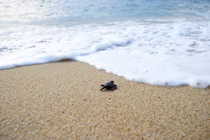 【在宅旅】日本の絶景を楽しむトピ