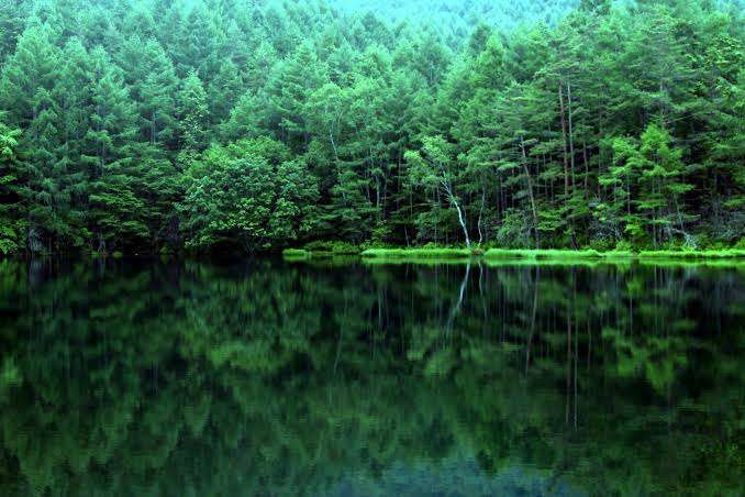 【在宅旅】日本の絶景を楽しむトピ