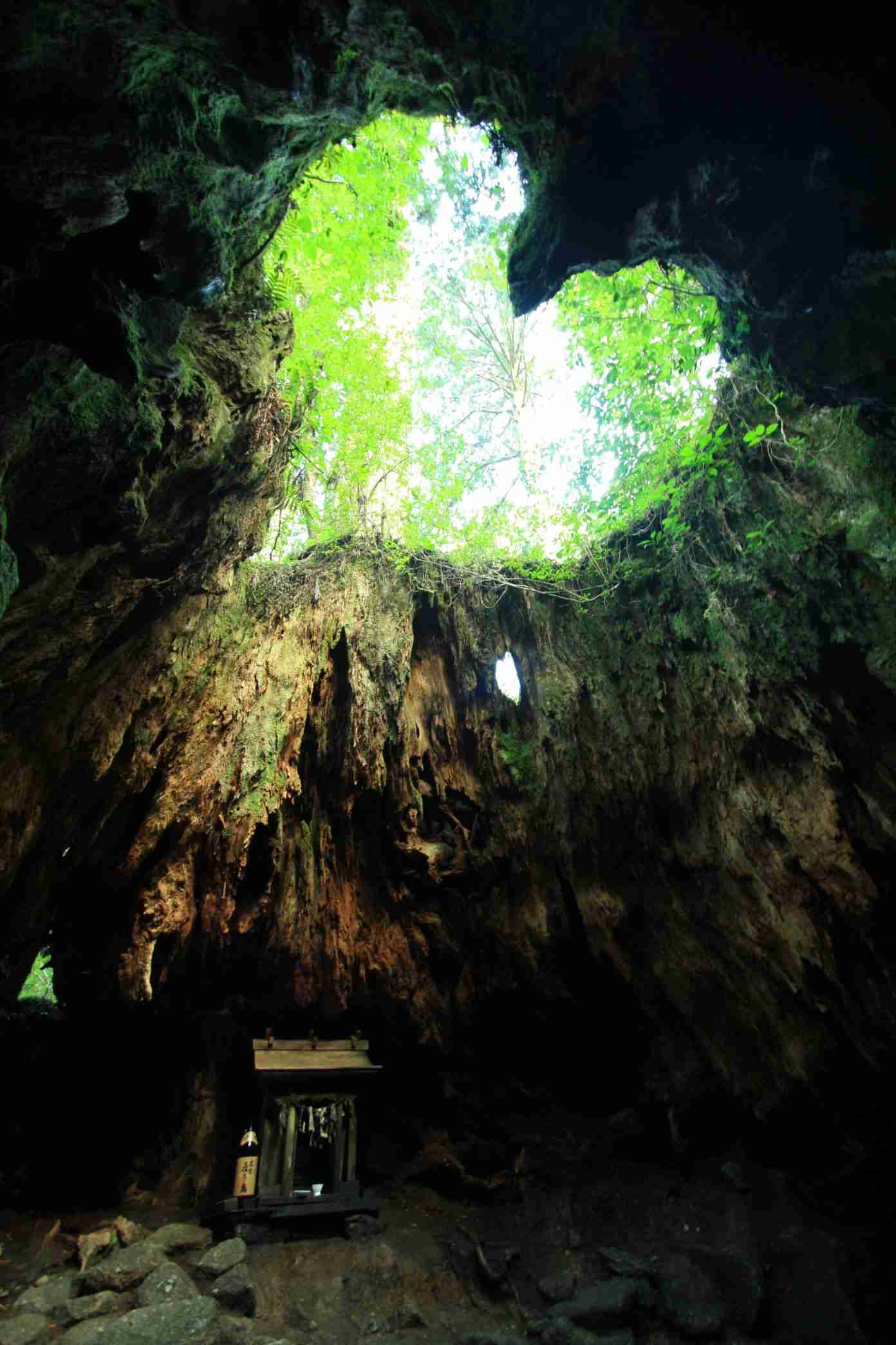 【在宅旅】日本の絶景を楽しむトピ