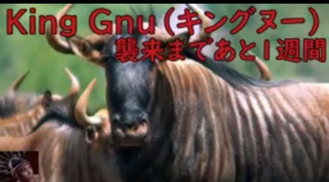aiko×岡村隆史「カブトムシ」にKing Gnu井口理が乱入