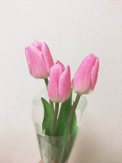 今、癒されるものは何ですか？