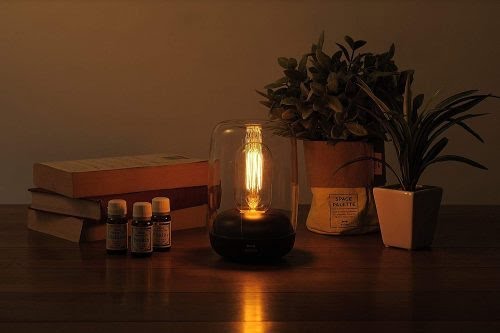 今、癒されるものは何ですか？