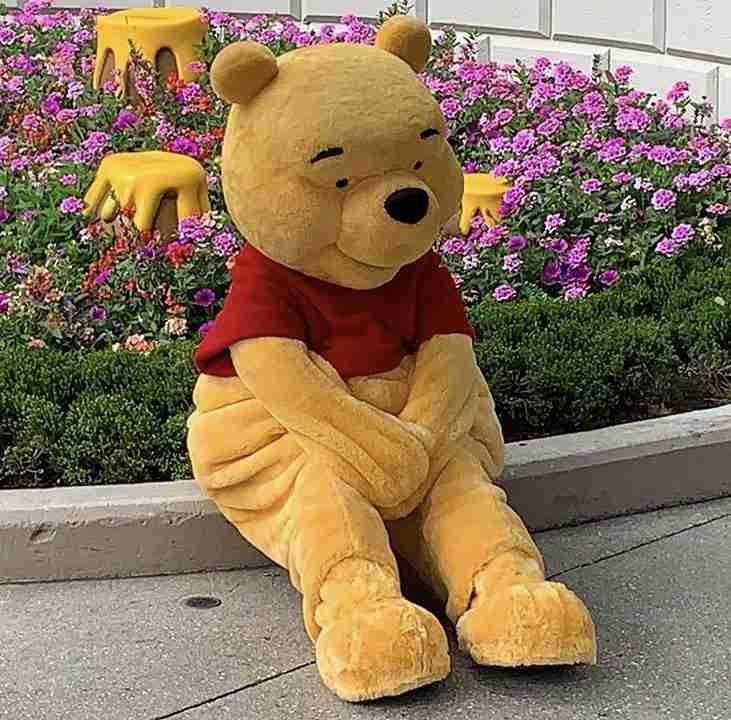 今、癒されるものは何ですか？