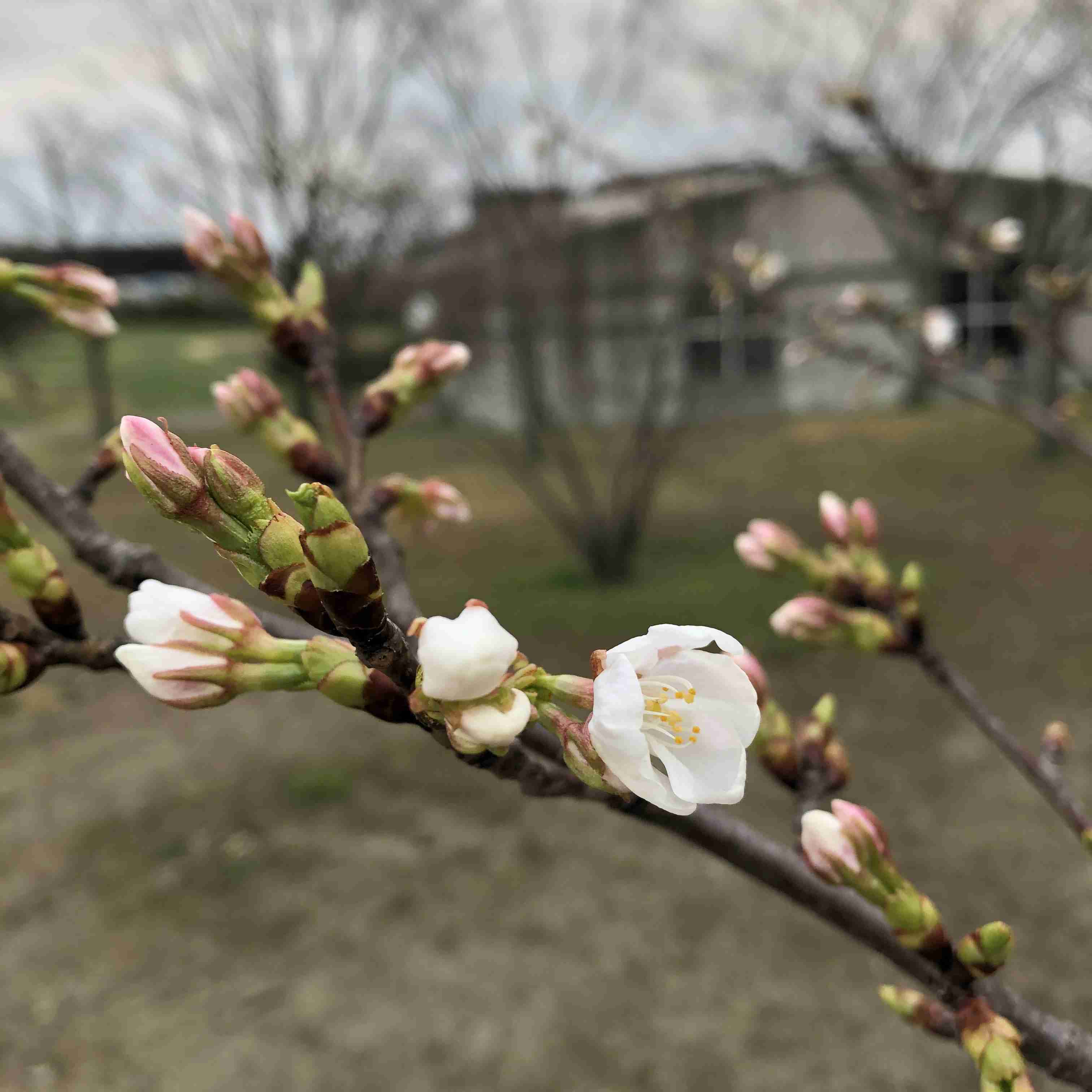 【雑談】家族しか話相手がいない専業主婦の部屋2