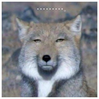 眞子内親王と小室圭さん　代替わり儀式の終わる5月に結婚発表か