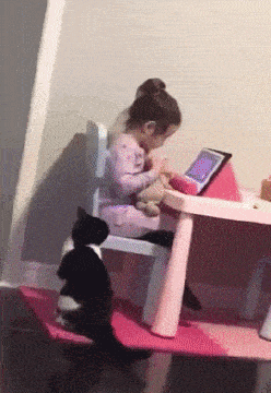 【育児衝撃画像】保育園まで迎えに来てほしくて“道を教える息子”と“真剣に聞く猫”が「どっちもかわいい」