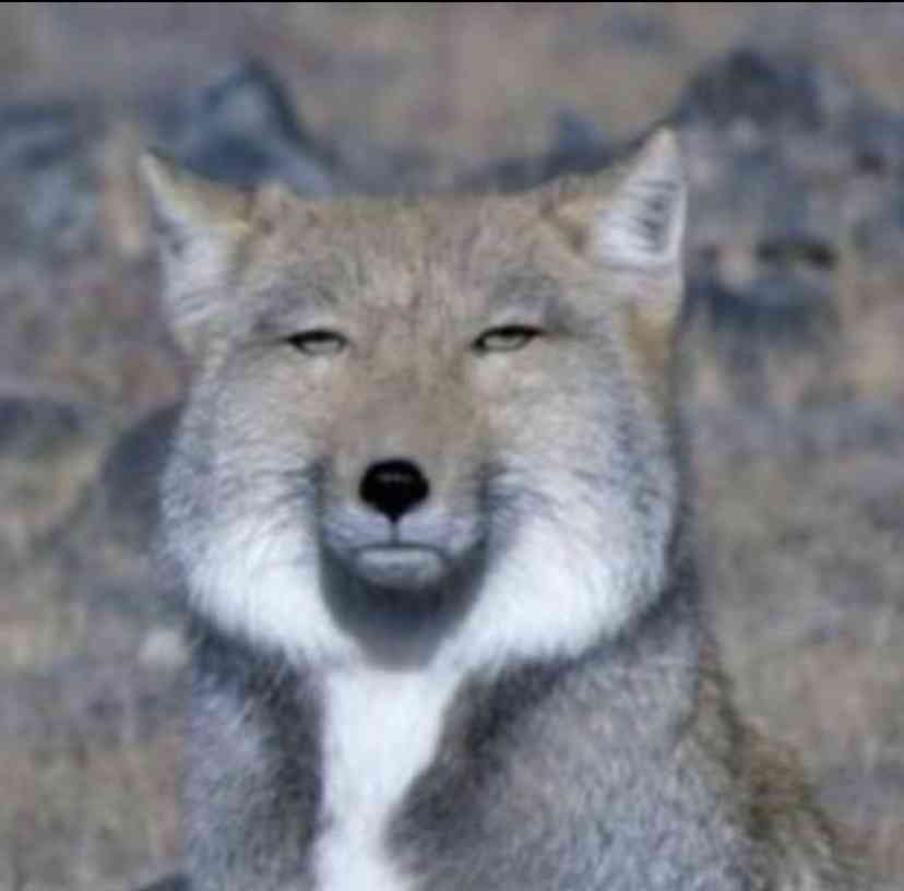 EXIT・兼近、さすが男前ランキング1位　激カワ“お内裏様”画像に女性ファン悶絶！