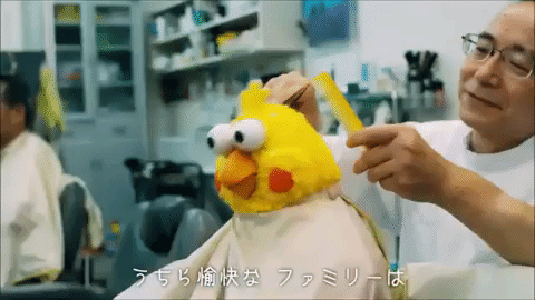 ポインコ兄弟について語ろう