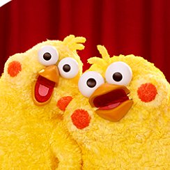 ポインコ兄弟について語ろう