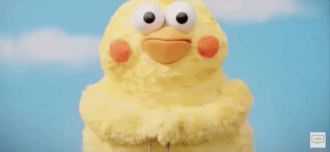 ポインコ兄弟について語ろう