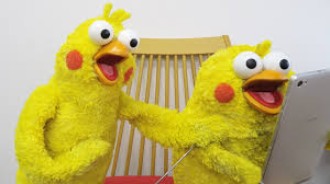 ポインコ兄弟について語ろう