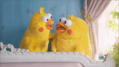 ポインコ兄弟について語ろう