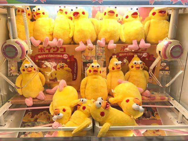 ポインコ兄弟について語ろう