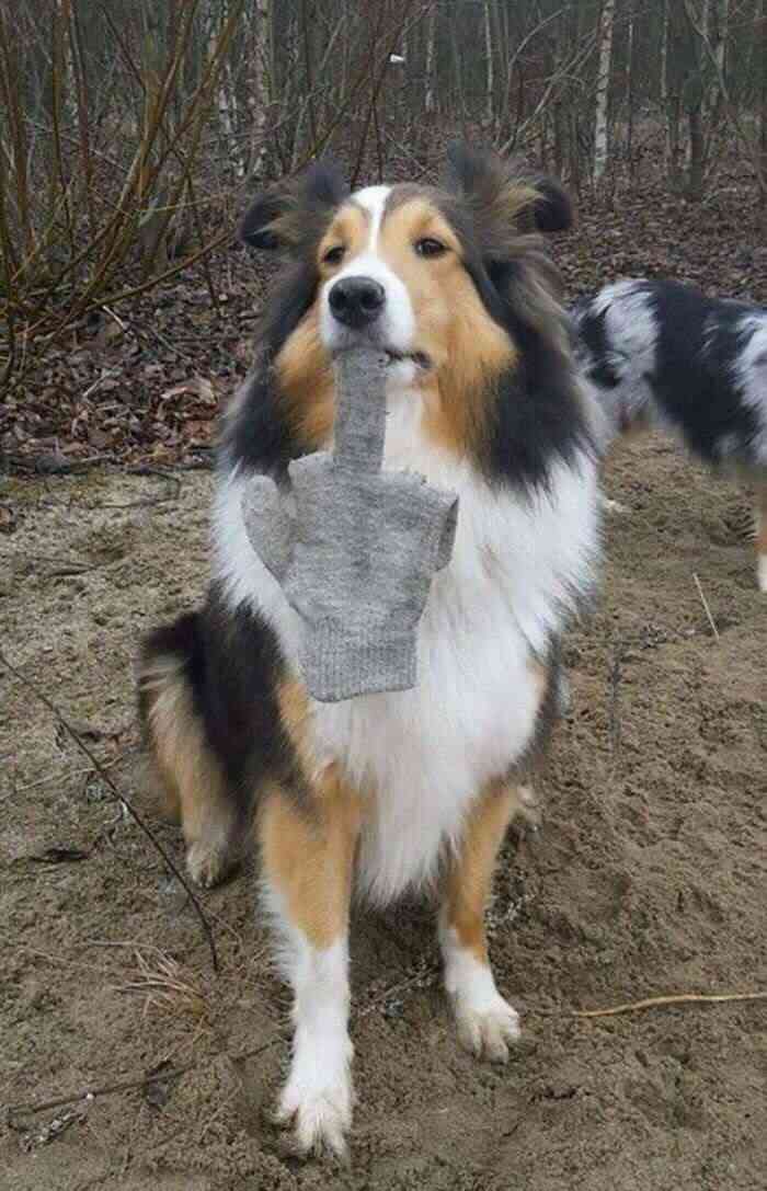 眞子さま「今すぐにでも結婚したい」親子会議で衝突か 秋篠宮邸は緊迫