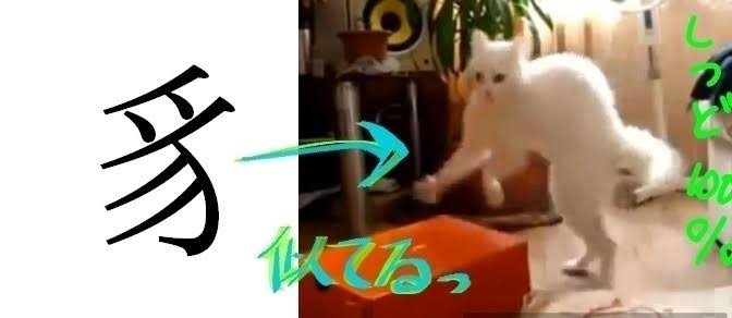 変なポーズの猫画像ください